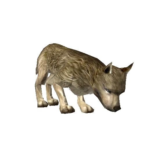 Cão Selvagem