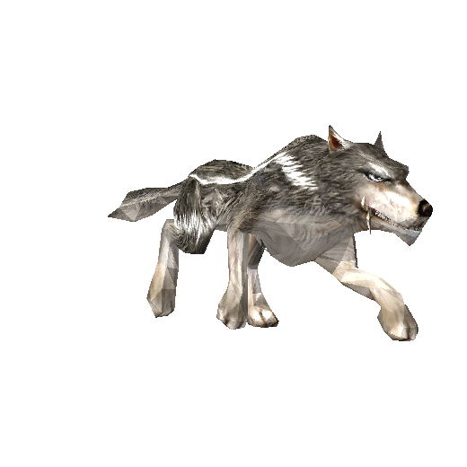 Lobo